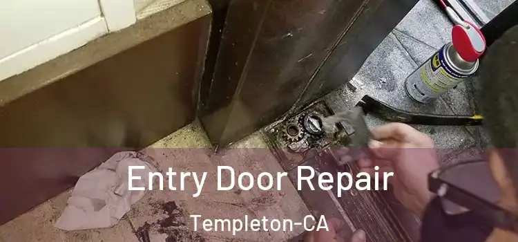  Entry Door Repair Templeton-CA