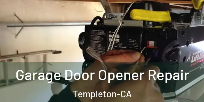  Garage Door Opener Repair Templeton-CA