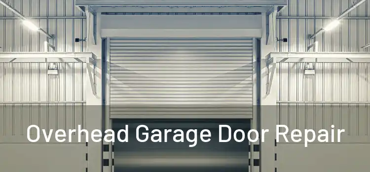  Overhead Garage Door Repair 